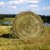 Haying At Spring Lake Farm