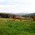 Why Buying Local Meat Helps New York State Agriculture 