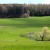 Why buy from a local farmer?